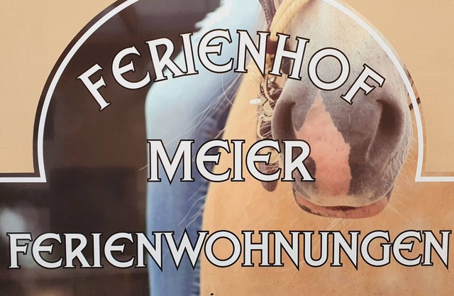 Apartment / app. for 5 guests with 70m² in Eversmeer (110852)