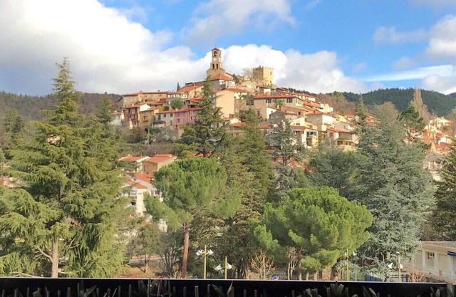 Apartment F2 + terrace - rated 3 stars - with village and Canigou views