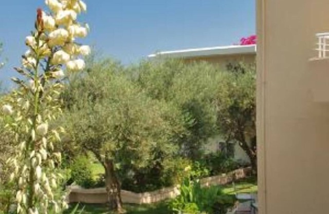 Apartment/flat in a olive grove - Kalives