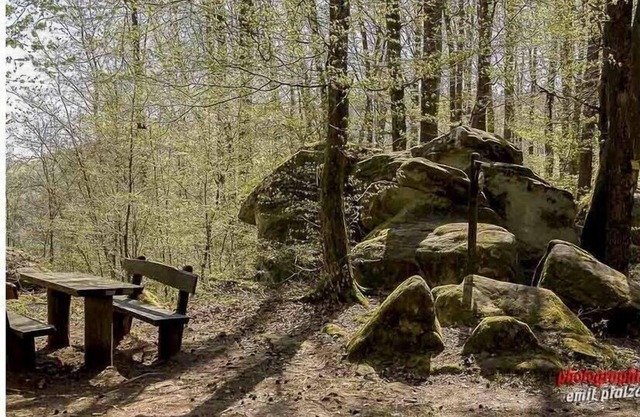 apartment Haus Renate Palatinate Forest