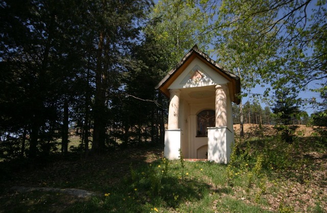 Apartment in Carinthia near the ski area