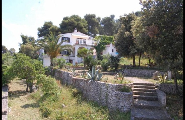 Apartment in Maslinica 70m from the sea