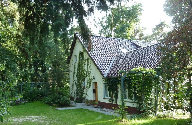 Apartment in the middle of nature, between Potsdam and Berlin