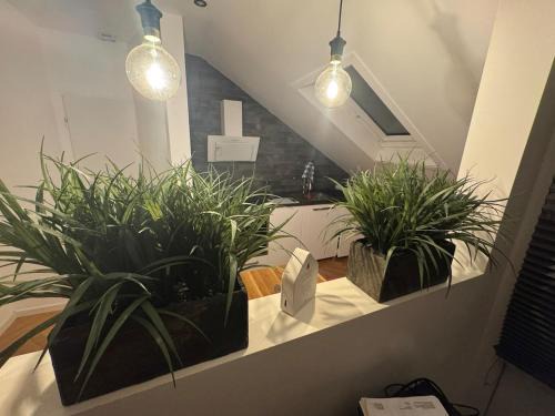 Apartment inklusiver großer Terrasse