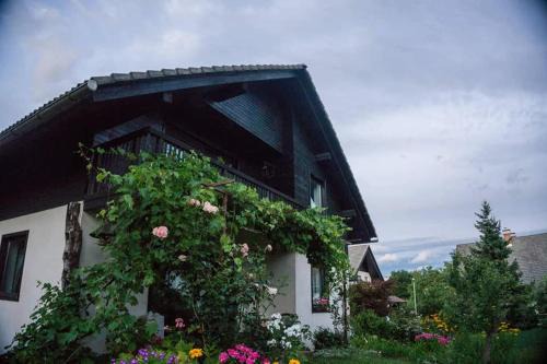 Apartment Ivana B