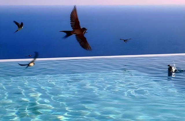 Apartment 'Kaladi Rock' with Sea View, Shared Pool and Wi-Fi
