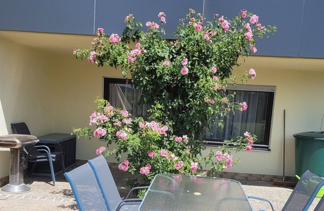 Apartment "Nähe Bucher - Stausee" with Shared Terrace, Shared Garden and Wi-Fi