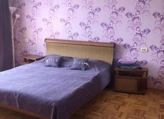 Apartment near circus on Pushkinskaya