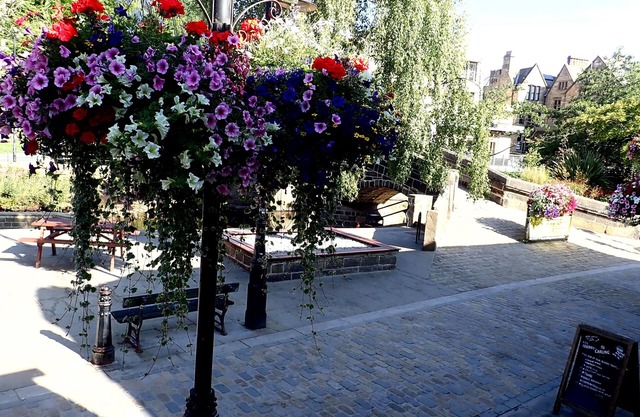 Apartment overlooking the river in the heart of Hebden Bridge - Pet friendly!