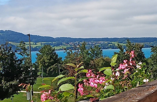Apartment Rooming Green with lake view from the balcony