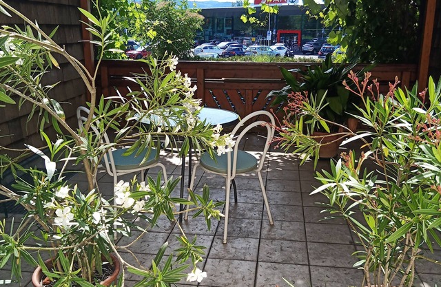 Apartment Rooming Green w. large, private terrace near the lake