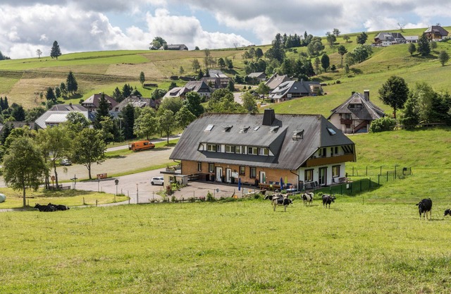 Apartment 'Sport Rees - Ferienwohnung Pia' with Mountain View, Shared Terrace and Wi-Fi
