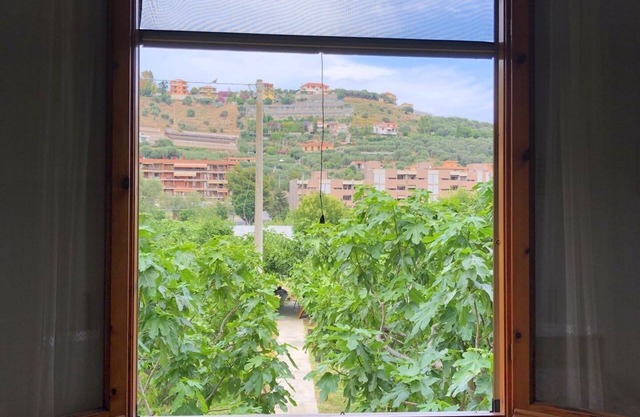 apartment surrounded by greenery 008031-LT-0196