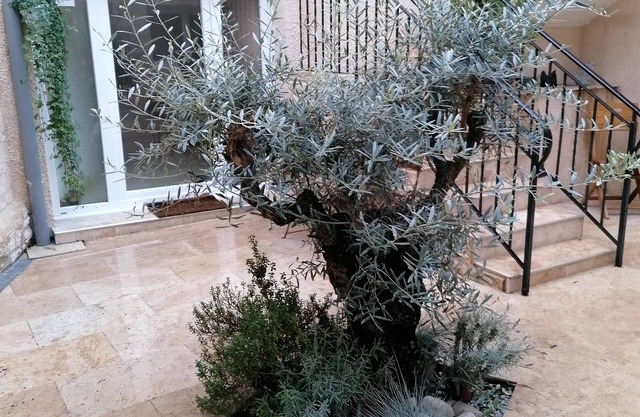 APARTMENT WITH CLIM, Fiber and GARAGE