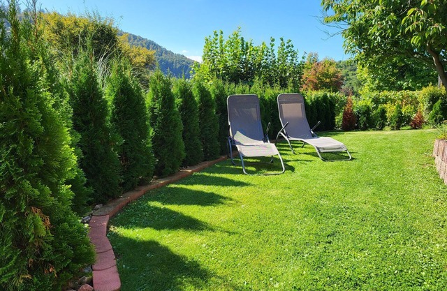 Apartment with terrace and fireplace, 1 bedroom, max. 4 people