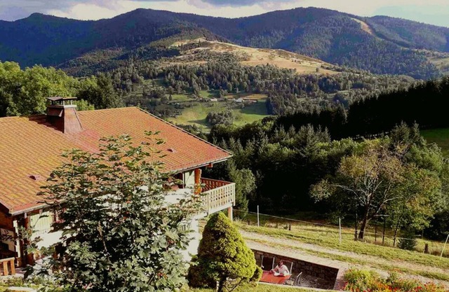 Apartment with terrace in chalet