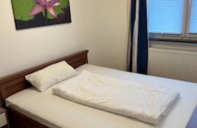 Apartment 'Zum Grünen Baum'