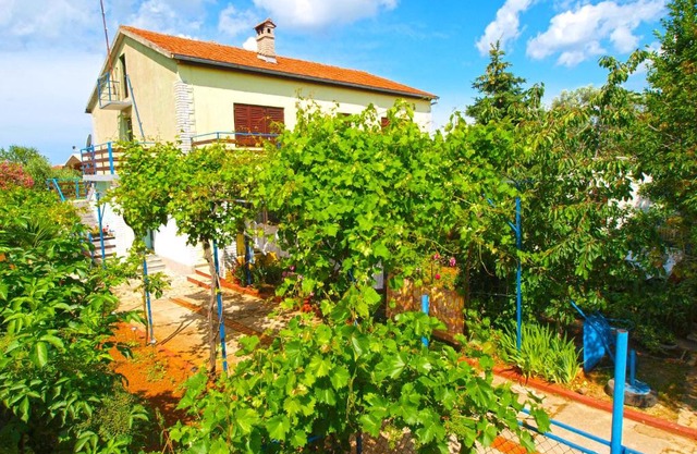 Apartments Desanka 972