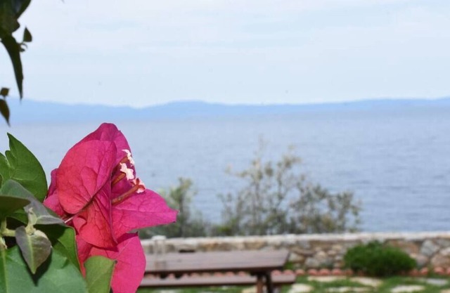 Aphrodite * Charming apt with stunning view!