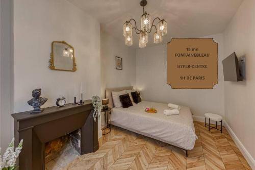 Appart luxueux hyper-centre/15mn Fontainebleau