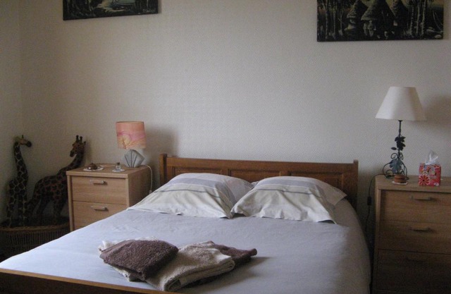 appartement 50 m2 , chambre , cuisine , salle de bains