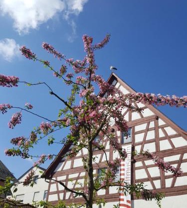 Appartement am Stadtmuseum - ruhig und zentral gelegen