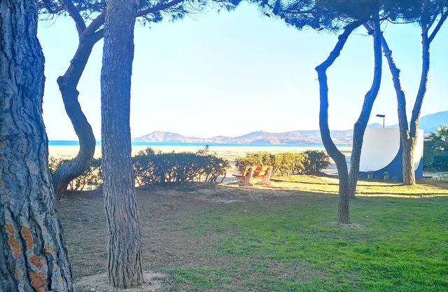 Appartement Cosy Dans une Pinède à 5 Minutes à Pied de la Plage