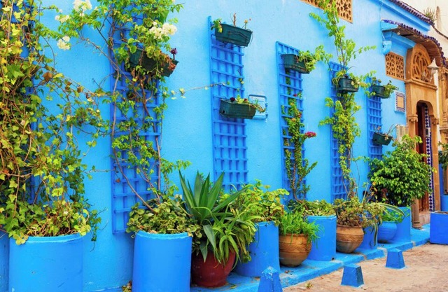 Appartement Cozy & Elégant-Centre Rabat