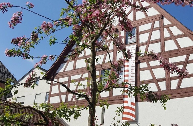 Appartement mit Terrasse am Stadtmuseum - Ruhig und Zentral Gelegen