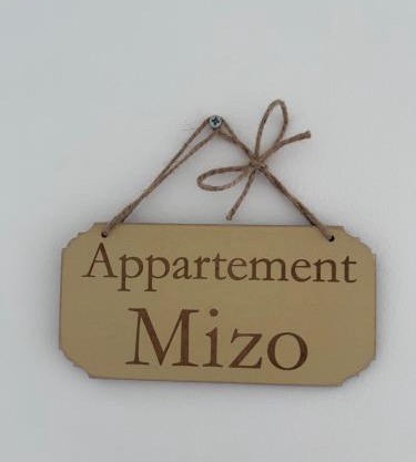 Appartement proche zenith "mizo"