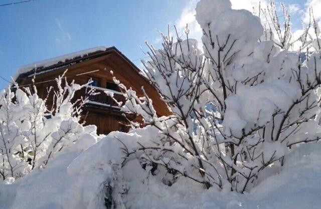 Appartement rez de Chaussée Chalet