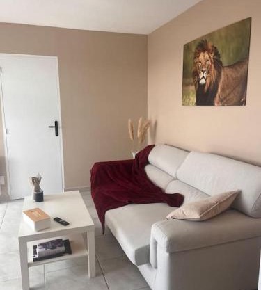 Appartement spacieux à Tarbes
