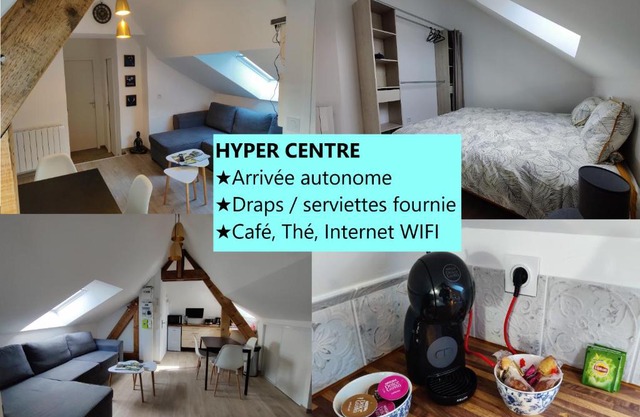 Appartement T3 "YUCA" Hyper centre d'ERNÉE