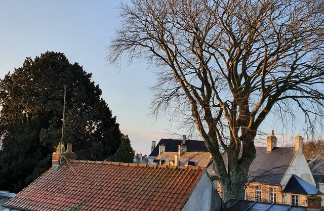 APY BAYEUX: * apartment in the heart of the city