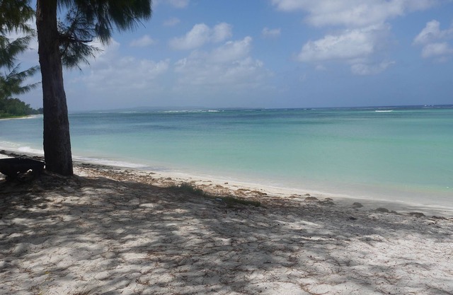 Aquarius Beach Tower