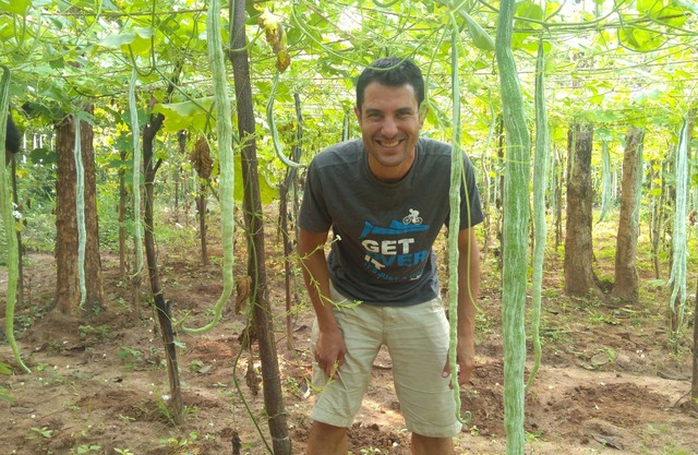 Araliya Self Cooking Resort Dambulla