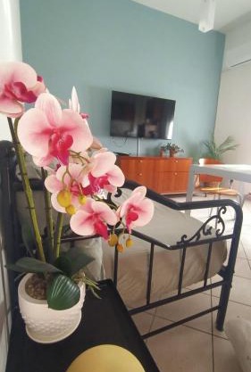 Arapietra Home