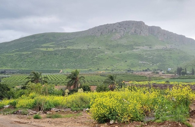 Arbel House Apartment