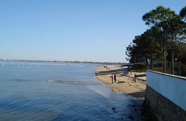 Arcachon at the tip of the sting, rent any nice season T1 view basin