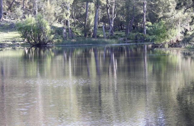 Arcadian Farmstay - Southern Highlands River Retreat