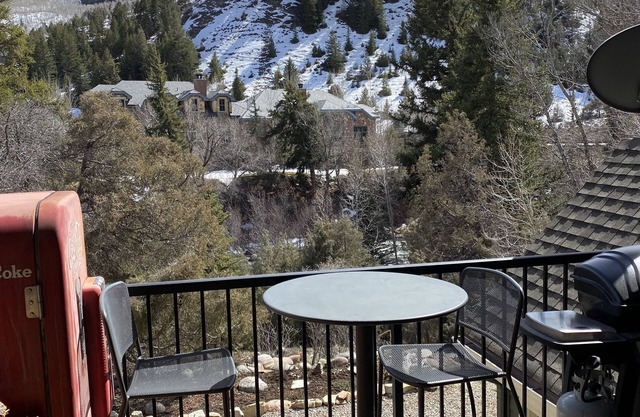 Architect's Condo on Eagle River Near Beaver Creek & Vail