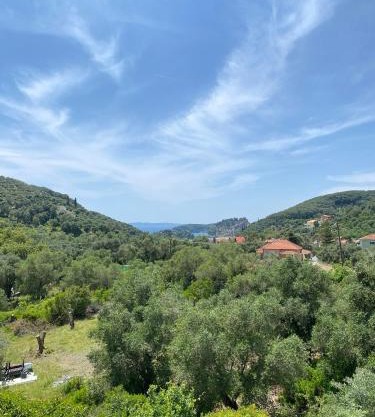 Aristidis view