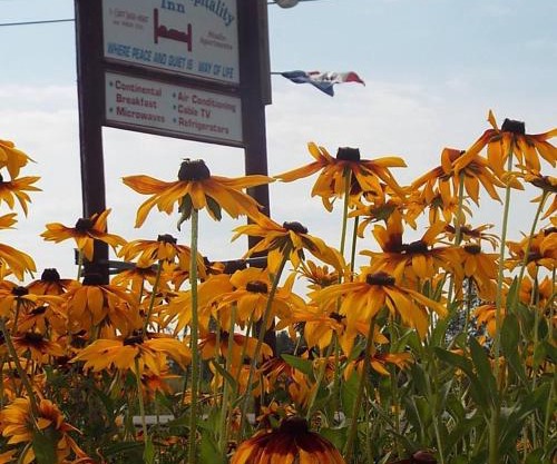 Aroostook Hospitality Inn - Washburn