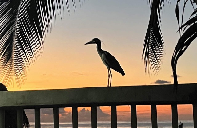 Artist’s Cove: A Beachfront Casa in Lo de Marcos