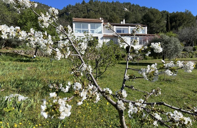 artist's house, exceptional place, where nature and serenity reign.