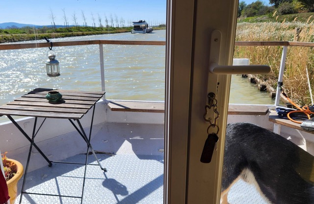 Atypical boat on the Canal du Midi
