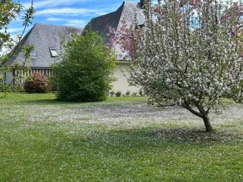 Au Milieu des Haras