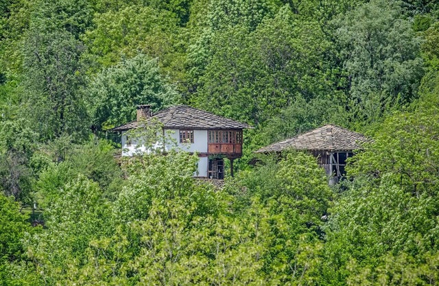 Authentic country house in the heart of the Balkans