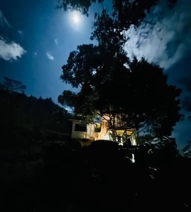 AVA tree house
