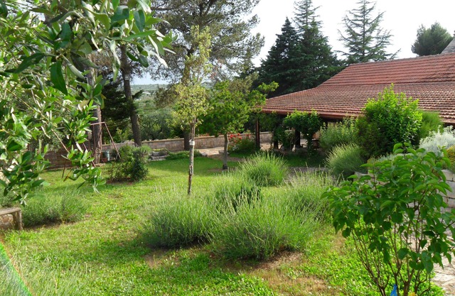 Away from crowded streets, privacy in greenery, suitable for up to 12 guests